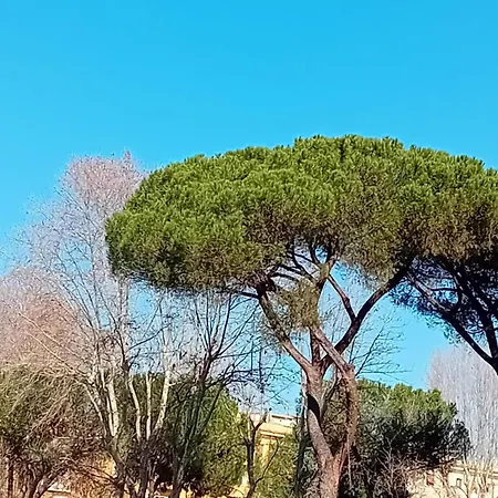 Stazione Termini-san Lorenzo House Of Wonders *